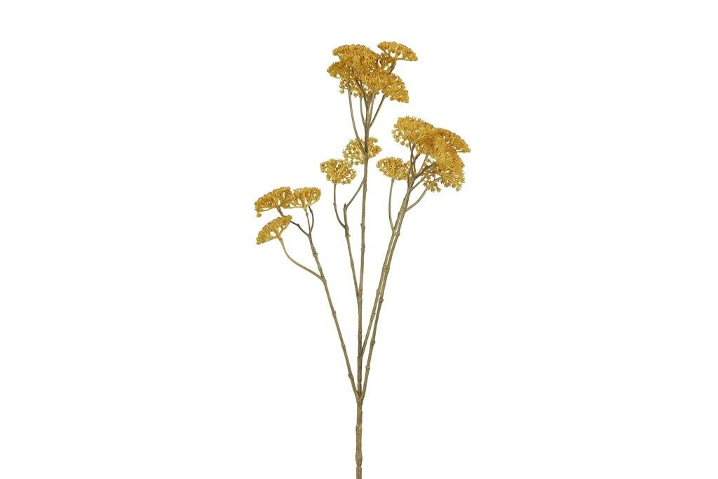 Achillea 72 cm geel