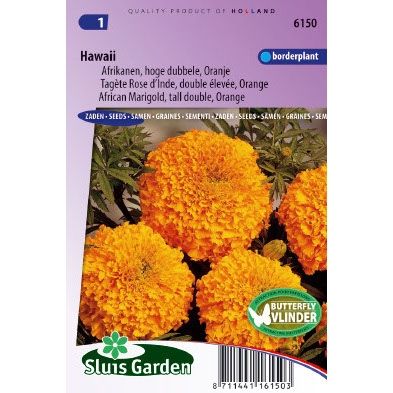 Afrikaan zaden Tagetes erecta hawai