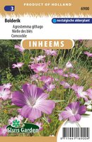 Inheemse Agrostemma githago Bolderik zaden