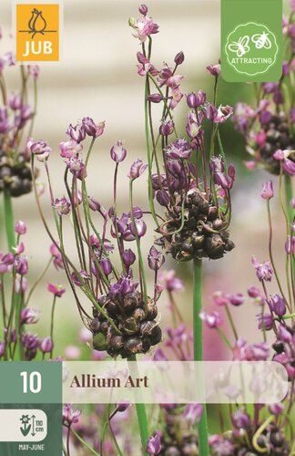 Allium art 10 bollen - afbeelding 1