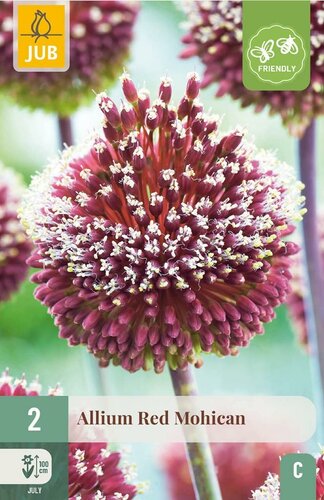 Allium red mohican 2 bollen - afbeelding 1