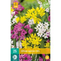 Allium species mix 25 bollen