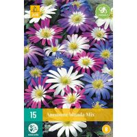 Anemone blanda mix 15 bollen