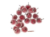 Appeltjes Frosted rood 5x4 stuks