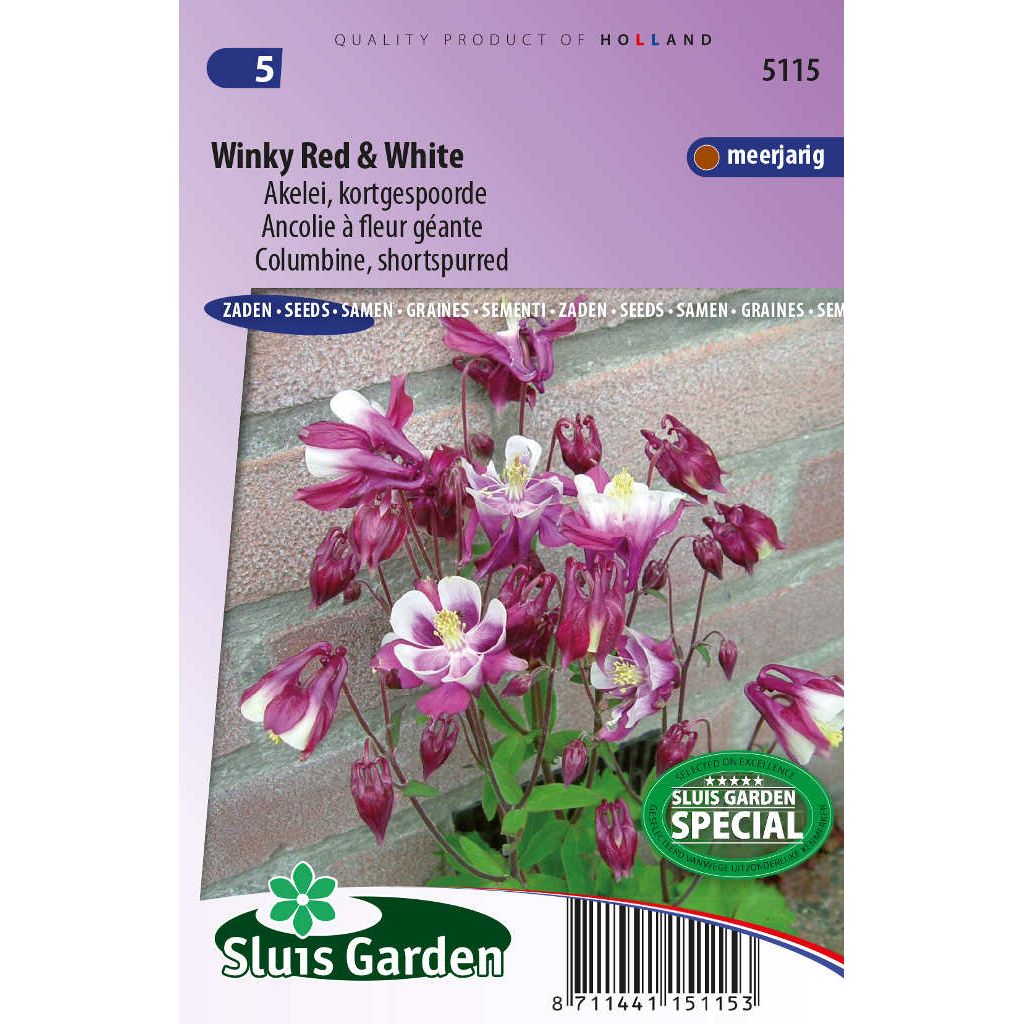 Aquilegia Winky Red and White akelei