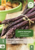 Asperge Erasmus
