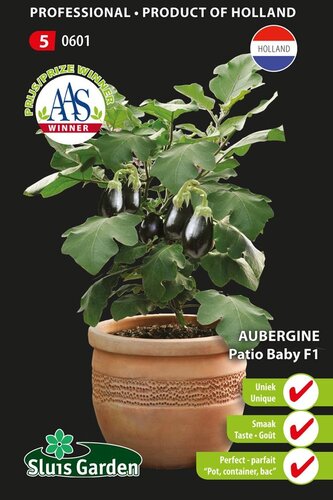 Aubergine Patio Baby F1 zaden