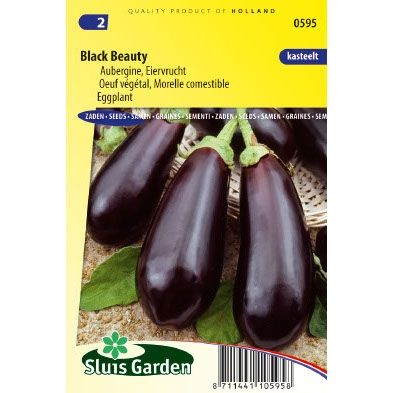 Aubergine zaden black beauty