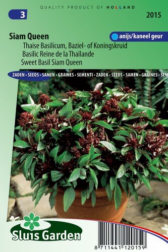 Basilicum zaden Siam Queen