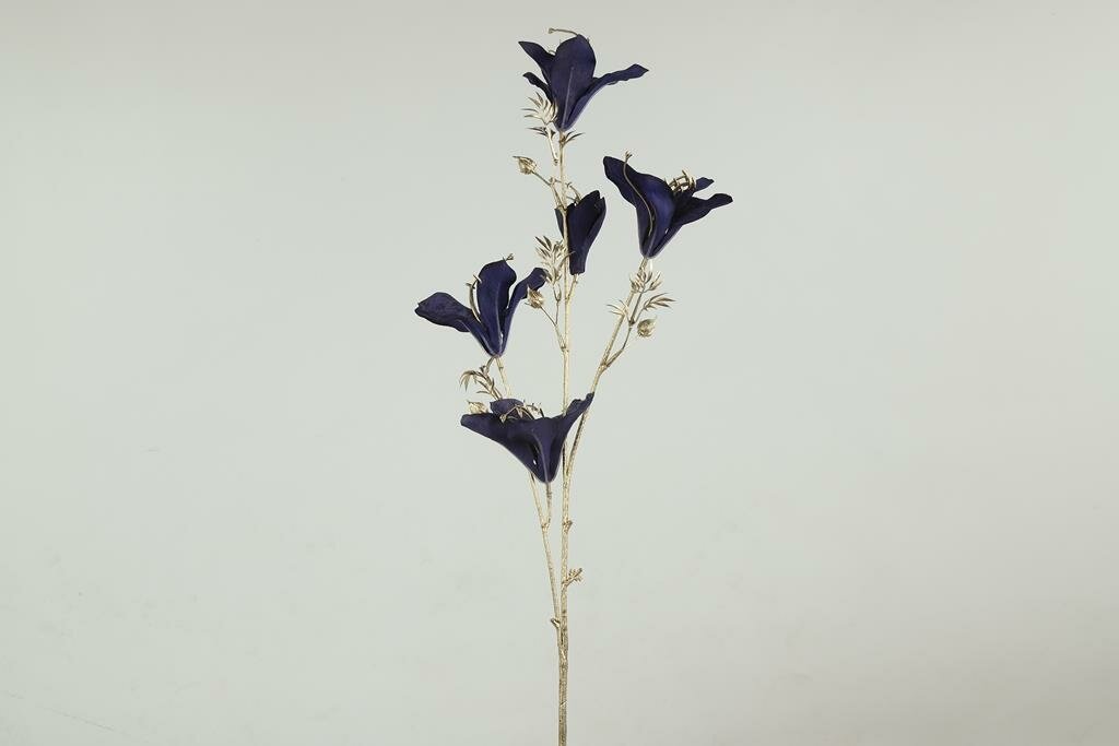 Bauhinia 84 cm blauw