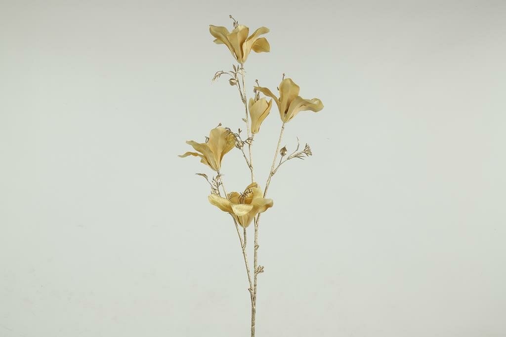 Bauhinia 84 cm geel