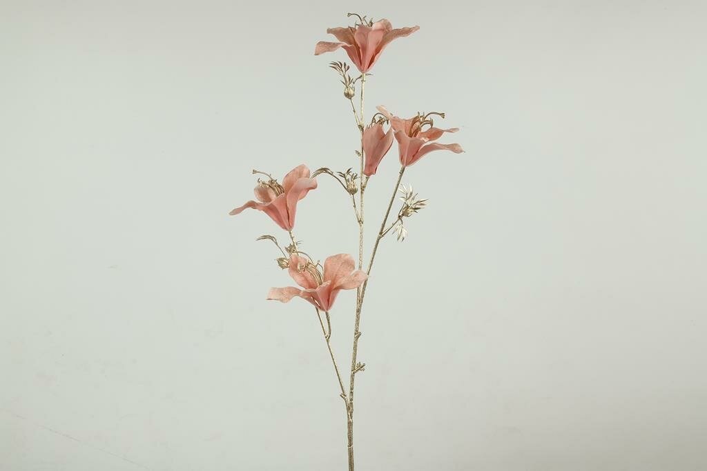 Bauhinia 84 cm roze