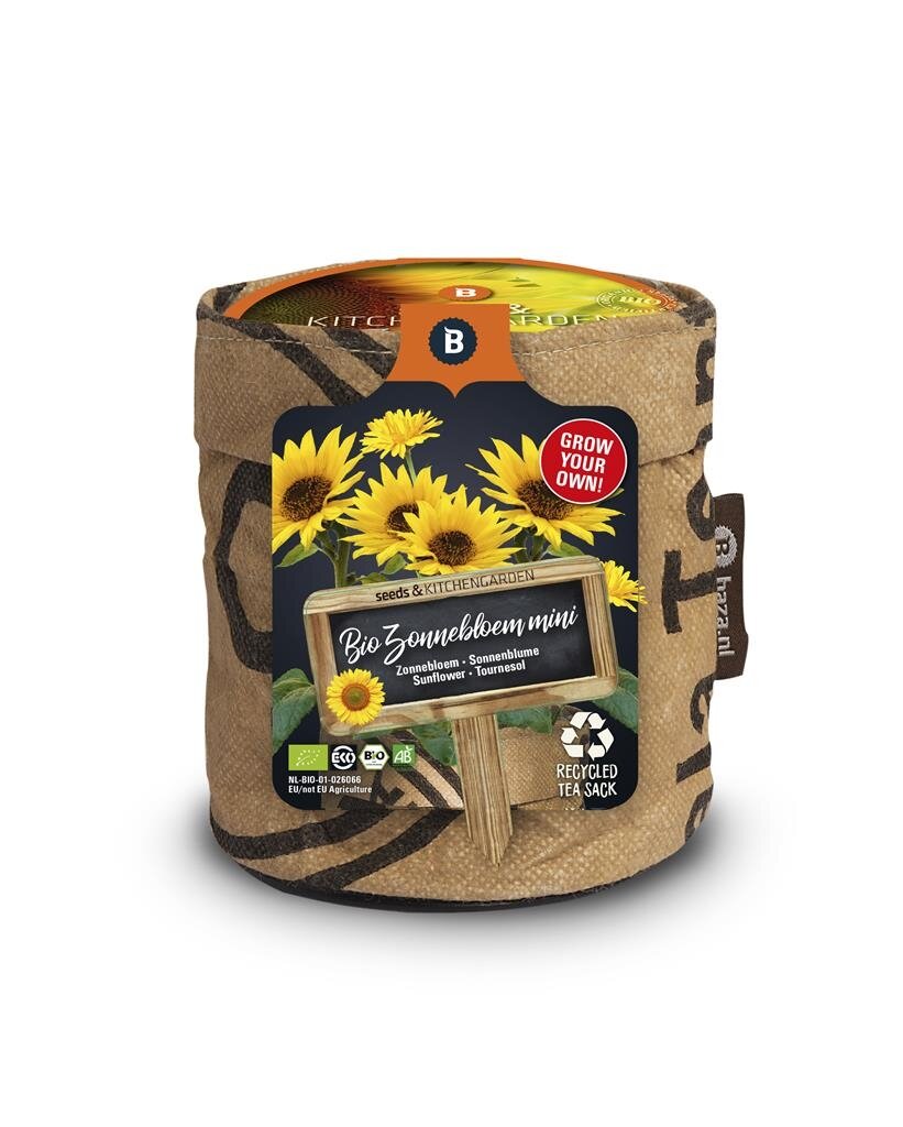 Baza Keukentuintje bio mini zonnebloem
