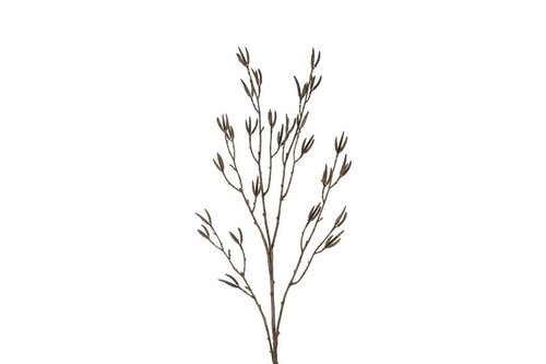 Countryfield zijden betula 90 cm licht bruin