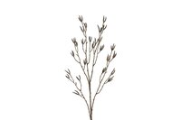 Countryfield zijden betula 90 cm licht bruin