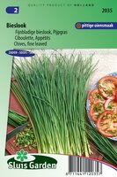 Bieslook fijnbladig zaden