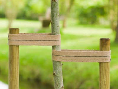 Bindmateriaal en boomband