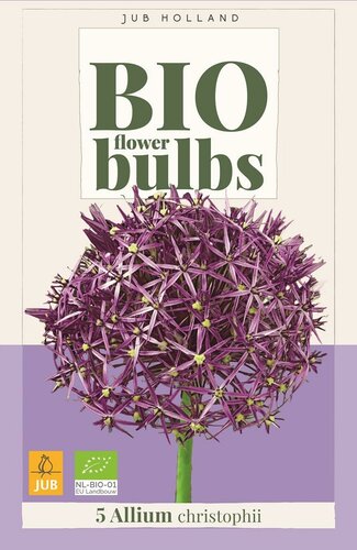 Bio allium christophii 5 bollen - afbeelding 1