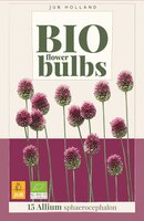 Bio allium sphaerocephalon 15 bollen