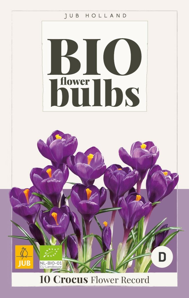 Bio Crocus Flower Record 10 bollen