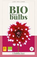 BIO Dahlia duet