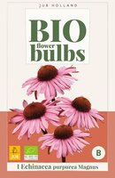 Bio echinacea purpurea magnus