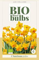 Bio narcis jetfire 5 bollen - afbeelding 3