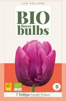 BIO tulp purple prince 7 bollen