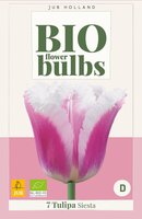 Bio tulp siesta 7 bollen - afbeelding 2
