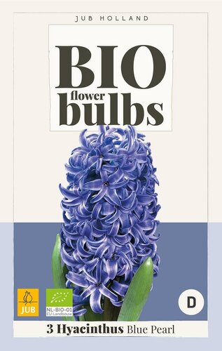 Bio Hyacint blue pearl 3 bollen