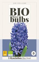 Bio Hyacint blue pearl 3 bollen