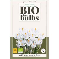 Bio krokus jeanne darc 10 bollen - afbeelding 1