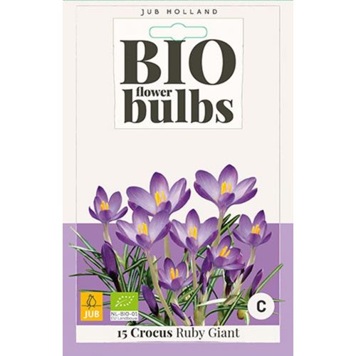 Bio krokus Ruby Giant 15 bollen - afbeelding 1