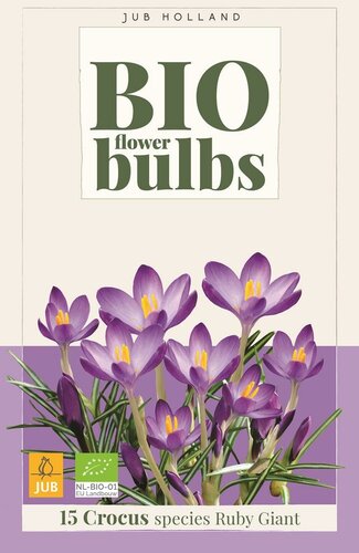 Bio krokus Ruby Giant 15 bollen - afbeelding 1