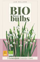 Bio leucojum gravetye giant 3 bollen - afbeelding 1