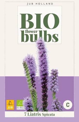 Bio liatris spicata - afbeelding 1