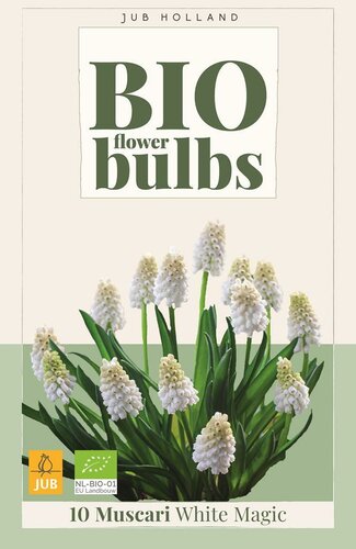Bio muscari white magic 10 bollen - afbeelding 1