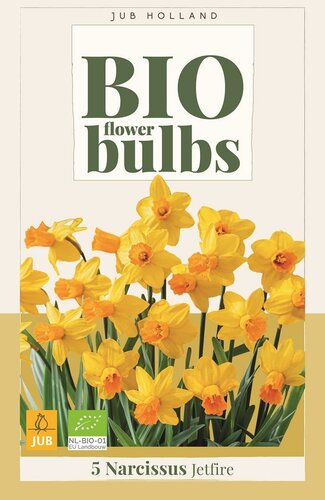 Bio narcis jetfire 5 bollen - afbeelding 1