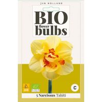 Bio narcis Tahiti 5 bollen - afbeelding 2
