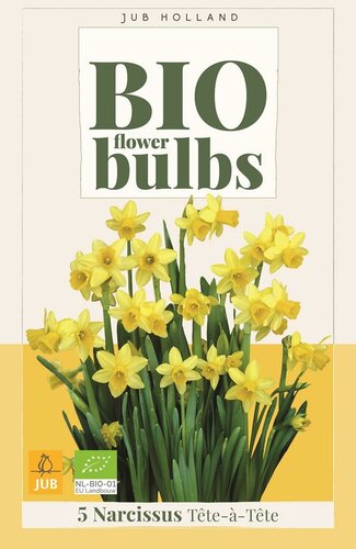Bio narcis tete-a-tete 5 bollen - afbeelding 1