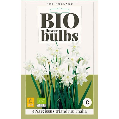 Bio narcis Triandrus Thalia 5 bollen - afbeelding 1