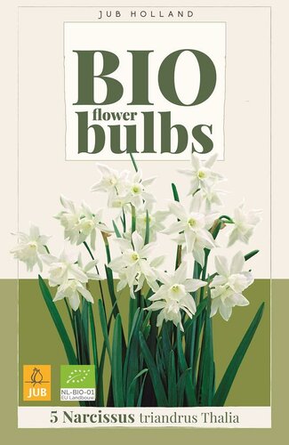 Bio narcis triandrus thalia 5 bollen - afbeelding 1