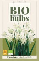 Bio narcis triandrus thalia 5 bollen