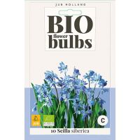 Bio scilla siberica 10 bollen oud