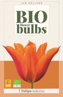 Bio tulp ballerina 7 bollen