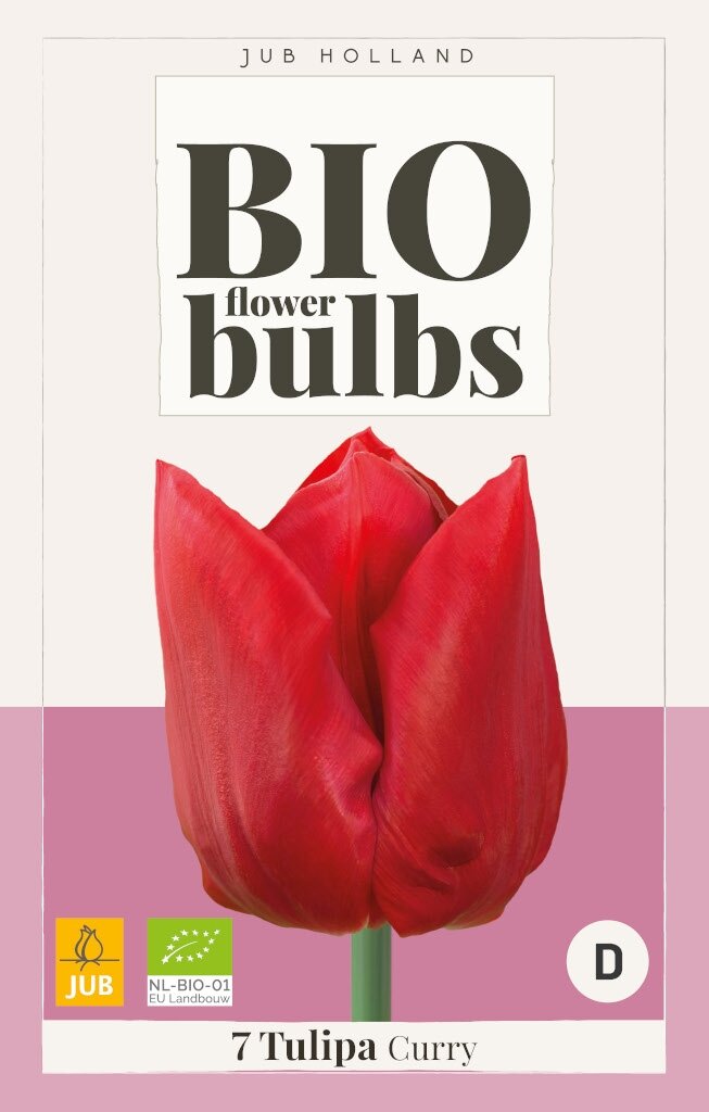 Bio Tulp Curry 7 bollen