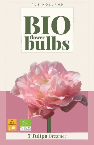 Bio tulp dreamer 5 bollen - afbeelding 1