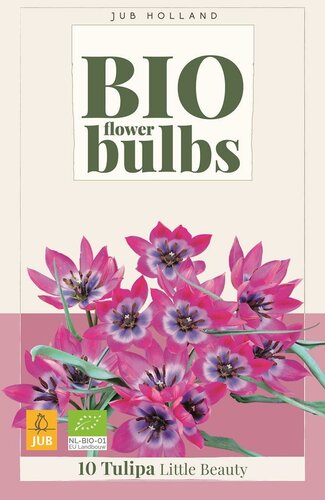 Bio tulp Little Beauty 7 bollen - afbeelding 1
