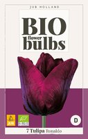 Bio Tulp Ronaldo 7 bollen - afbeelding 2