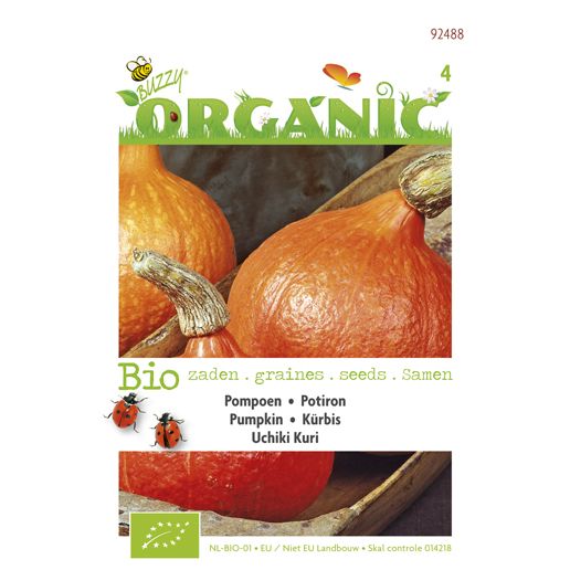 Bio Zaden Organic Pompoen Uchiki Kuri huismerk kopen in de aanbieding